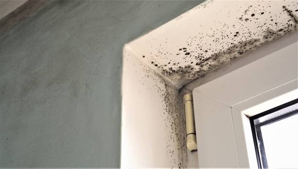 Best Indoor Air Quality Assessment  in East Atlantic Beach, NY
