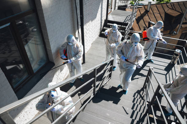 Best Mold Removal for HVAC Installations  in East Atlantic Beach, NY