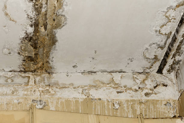 Best Post-Remediation Verification Testing  in East Atlantic Beach, NY