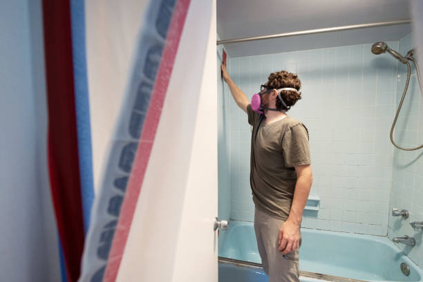 Best Basement Mold Removal  in East Atlantic Beach, NY