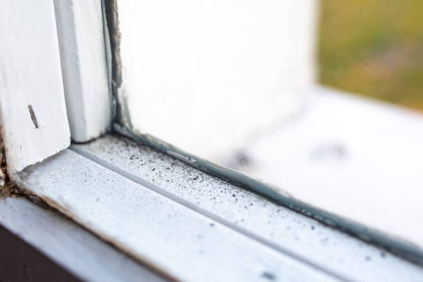 Best Dehumidification Services  in East Atlantic Beach, NY