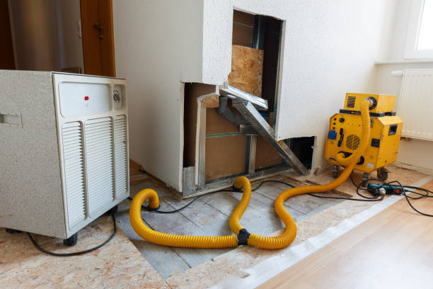 Best Post-Construction Mold Inspection  in East Atlantic Beach, NY